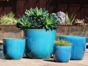 Egg Shell Pots - Set of 4 By Plantatorem