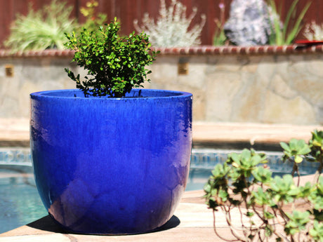 Egg Shell Pots - Set of 4 By Plantatorem