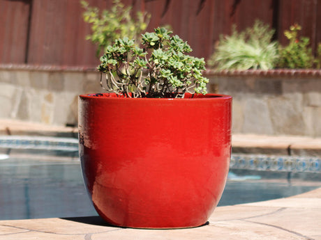 Egg Shell Pots - Set of 4 By Plantatorem