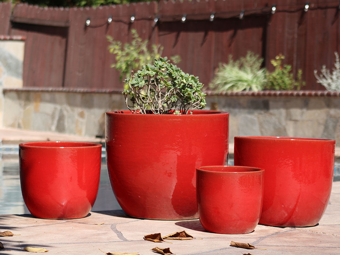 Egg Shell Pots - Set of 4 By Plantatorem