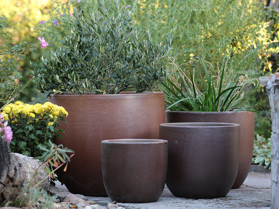 Egg Shell Pots - Set of 4 (Clay) Egg Shell Pots - Set of 4 (Clay)
