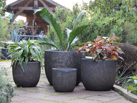 Big Sonoma Planter By Plantatorem