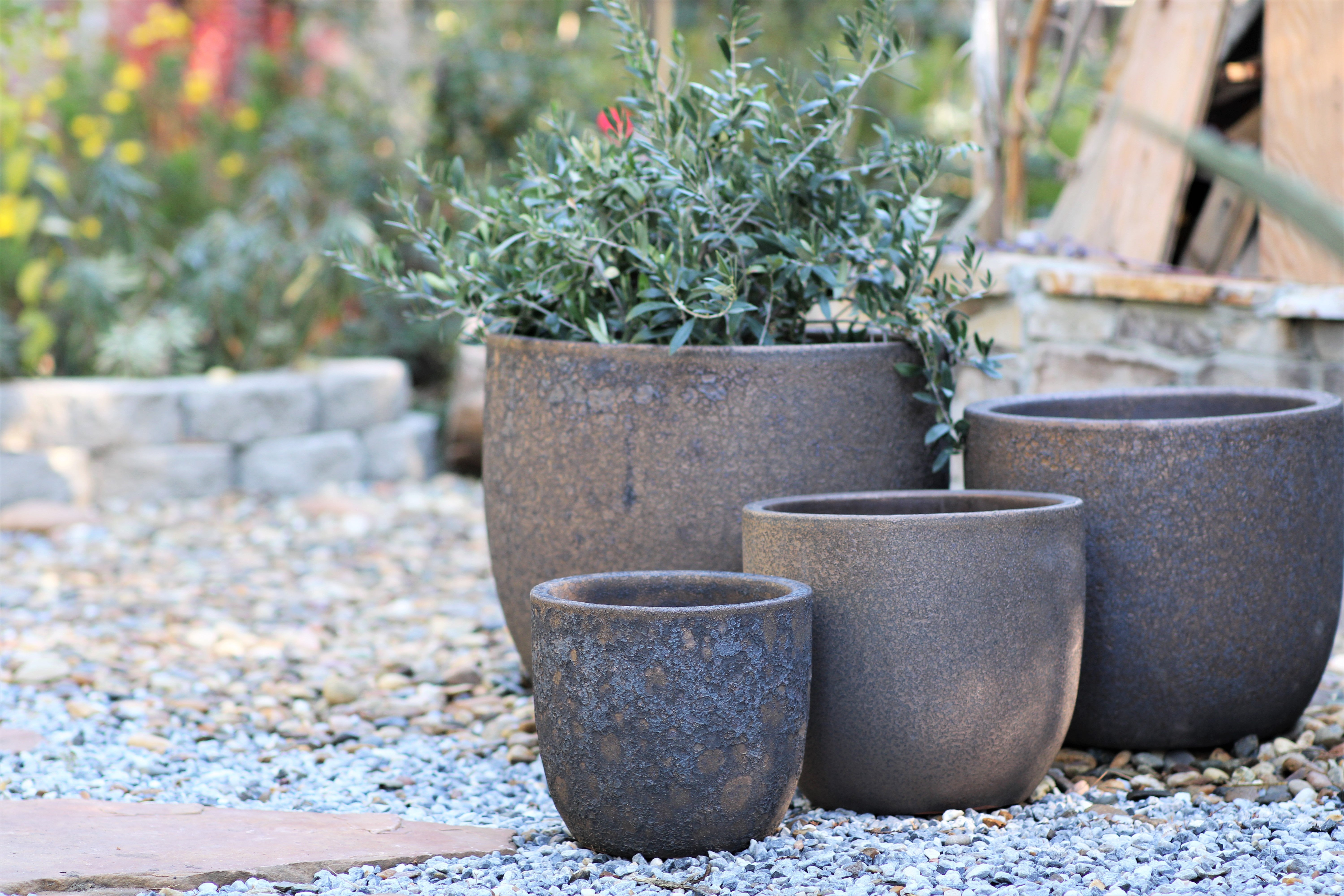 Egg Shell Pots Set of 4 - Silver Rock Planters – PLANTATOREM