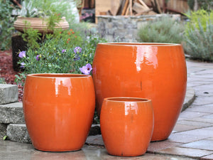 Jams Planter By Plantatorem