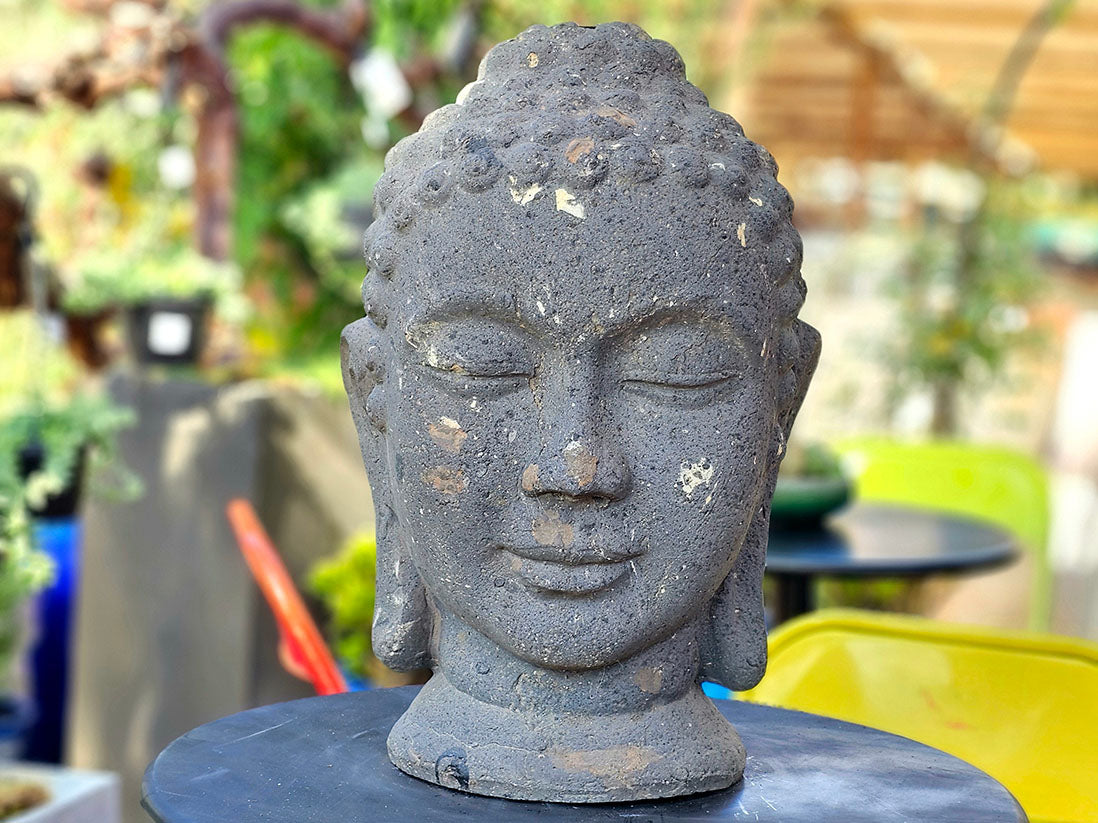 Buddha Head