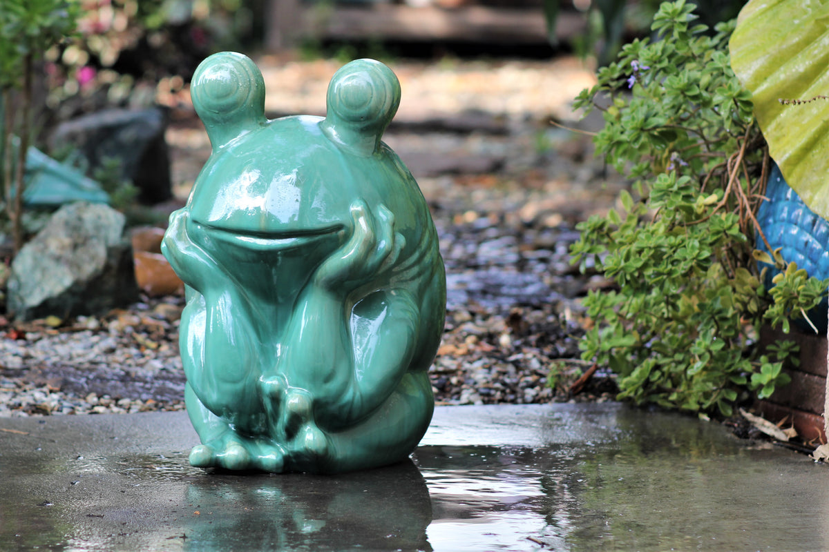 Thinking Frog – PLANTATOREM