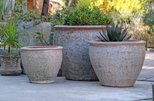 Rounded Rim Parco Planter By Plantatorem