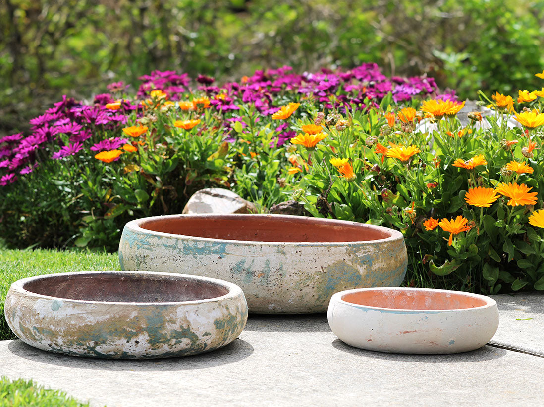 Succulent Bowl Set of 3 by Plantatorem