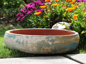 Succulent Bowl-Set of 3