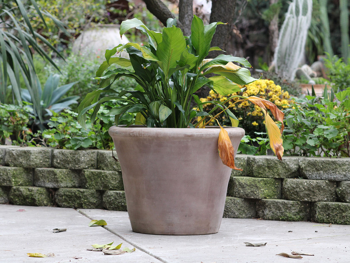 VASO PLANTER