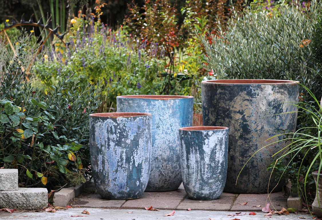 Tuscan Sun Collection
