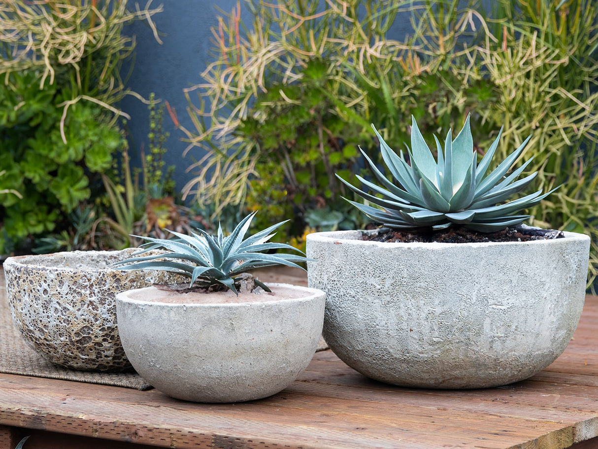 Half Moon Bowl - Set of 2 By Plantatorem