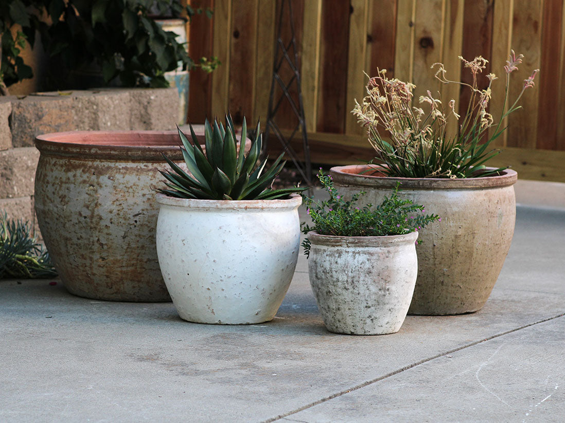 Standard Garden Pot- Set of 4 – PLANTATOREM