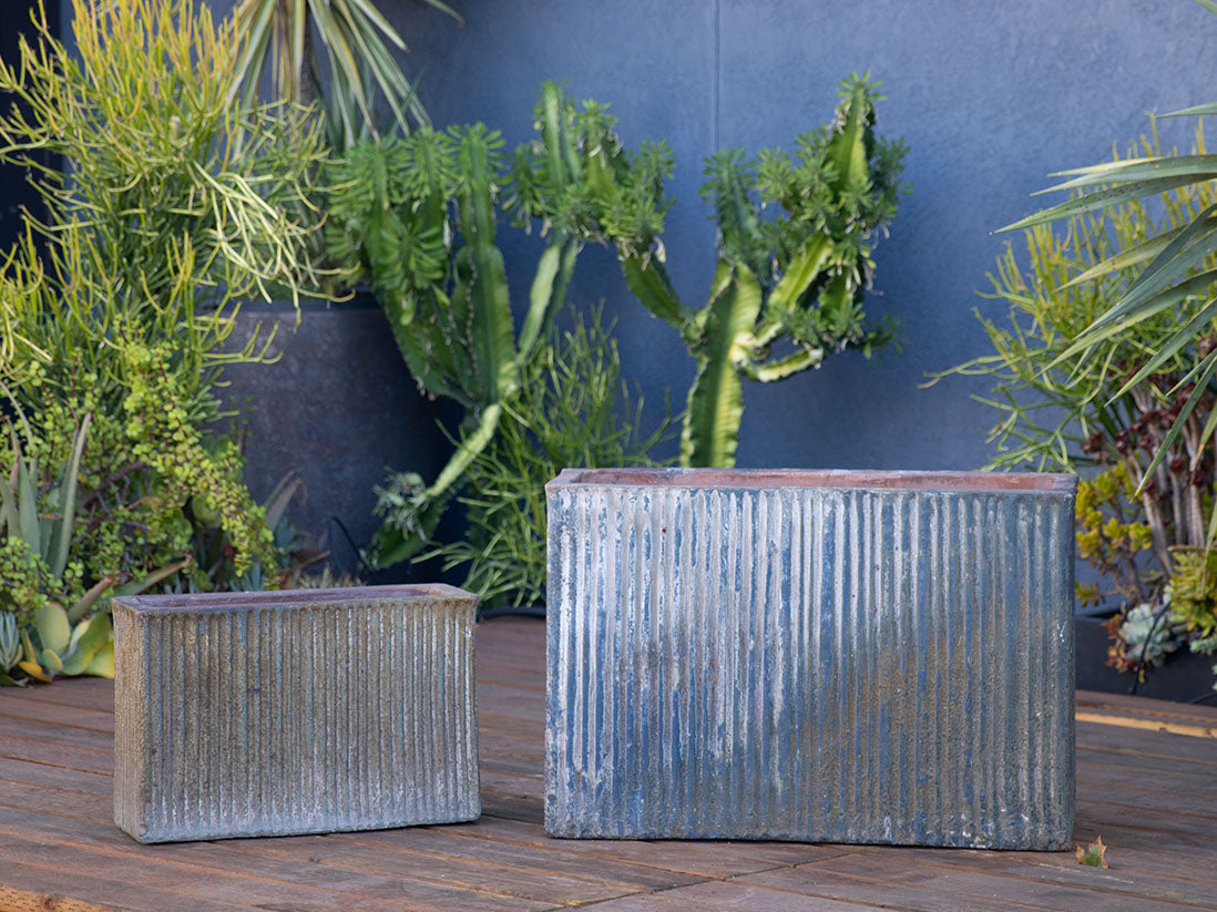 Brush Comb Mid Rectangular Planter-Set of 2 By Plantatorem