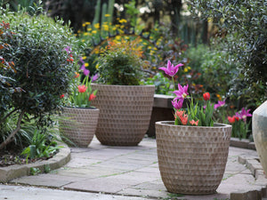 HONEYCOMB PLANTER