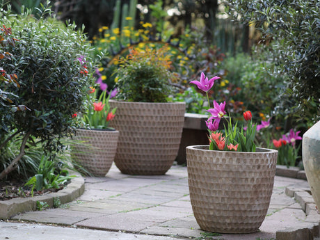 HONEYCOMB PLANTER