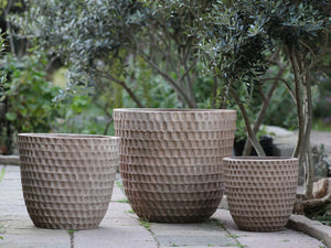 HONEYCOMB PLANTER