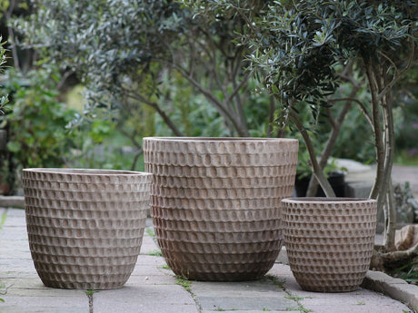 HONEYCOMB PLANTER