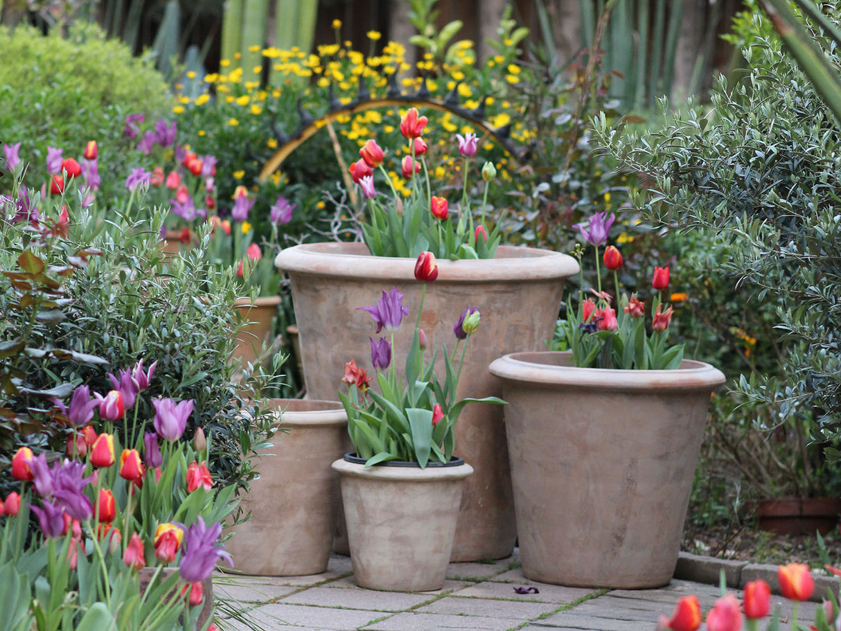 TAPERED AMPHORA PLANTER