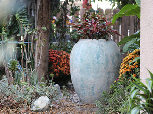 Single Water Jar By Plantatorem