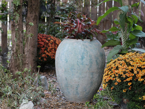 Single Water Jar By Plantatorem