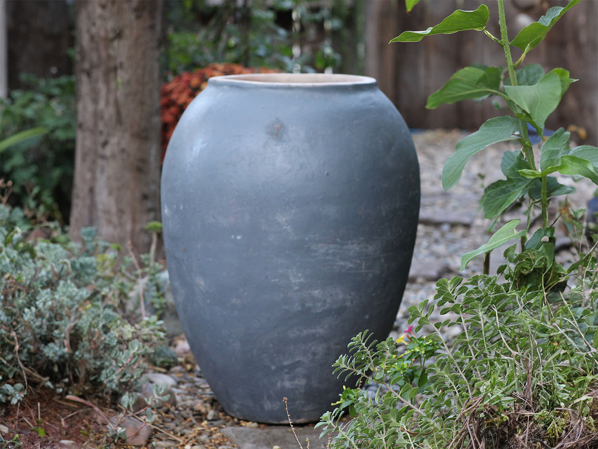 Single Water Jar By Plantatorem