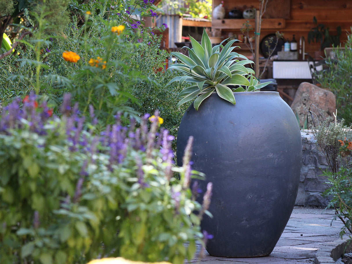 Single Water Jar By Plantatorem