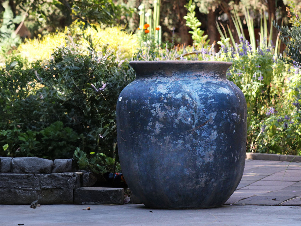 Mediterranean Cantaro By Plantatorem
