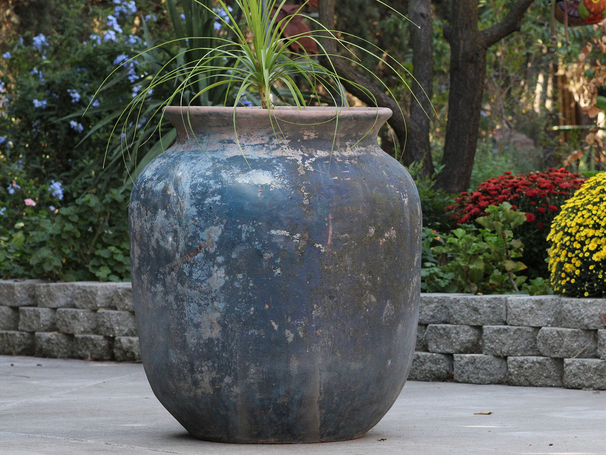 Mediterranean Cantaro By Plantatorem