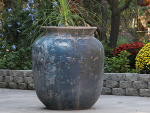 Mediterranean Cantaro By Plantatorem