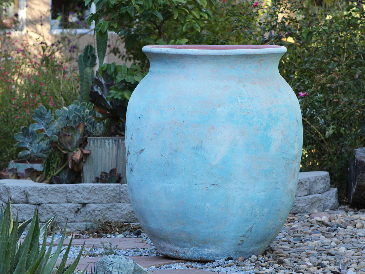 Mediterranean Cantaro By Plantatorem