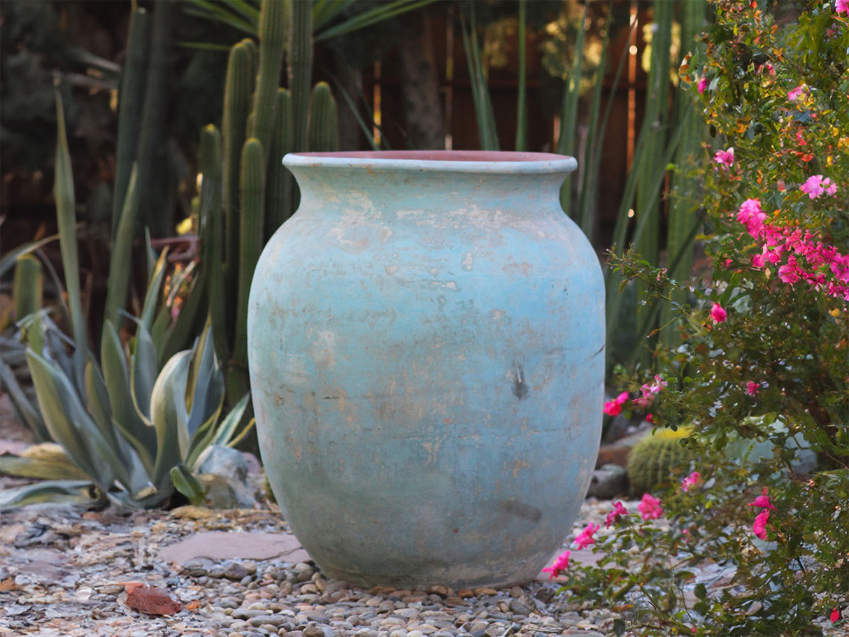 Mediterranean Cantaro By Plantatorem