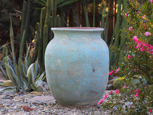 Mediterranean Cantaro By Plantatorem