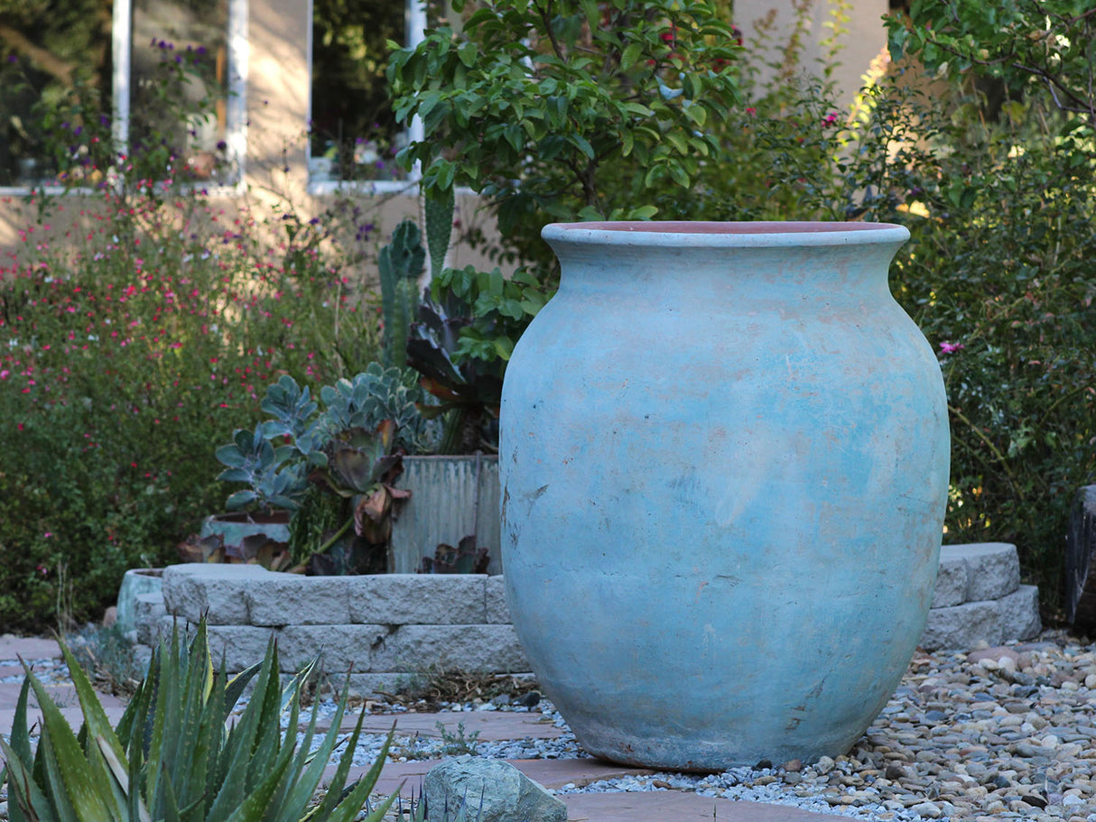 Mediterranean Cantaro By Plantatorem