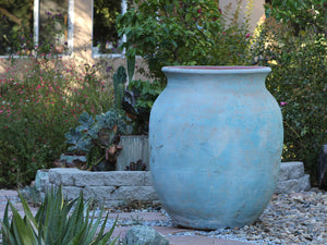 Mediterranean Cantaro By Plantatorem