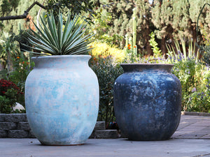 Mediterranean Cantaro By Plantatorem