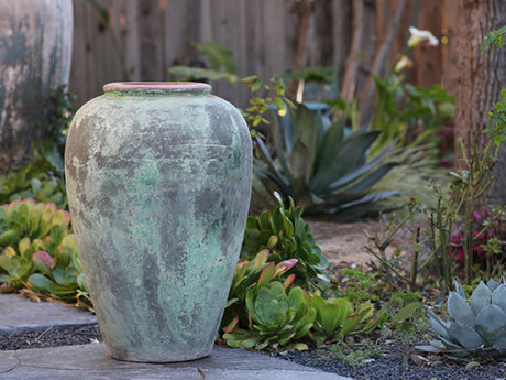 Ancient Wine Jar By Plantatorem