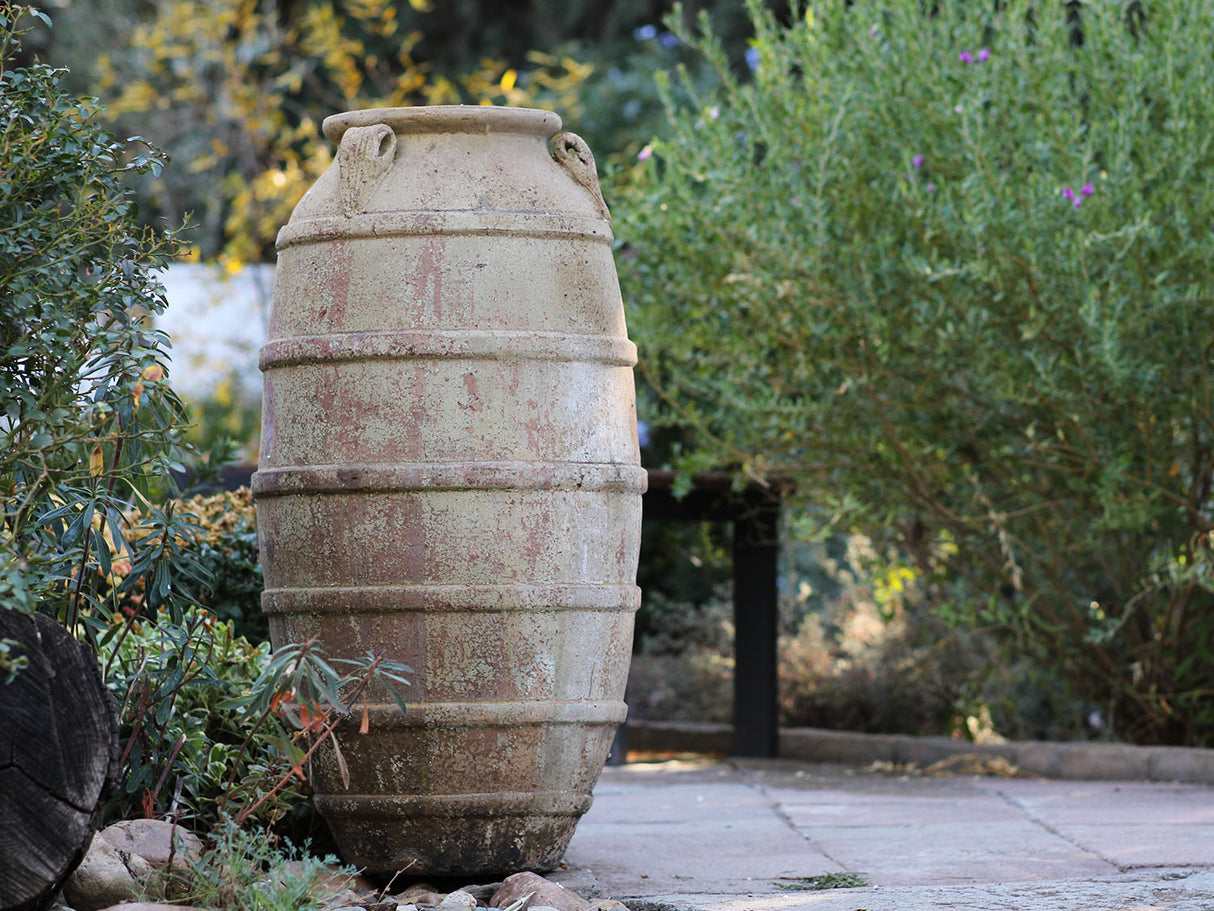 Ribbed Belly Amphora