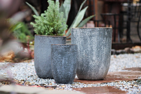 Milano Tall Barrel Planter By Plantatorem