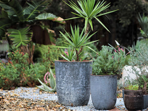 Milano Tall Barrel Planter - Set of 4 By Plantatorem