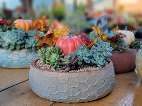 Hand Thrown Hexagon Bowl-Set of 4