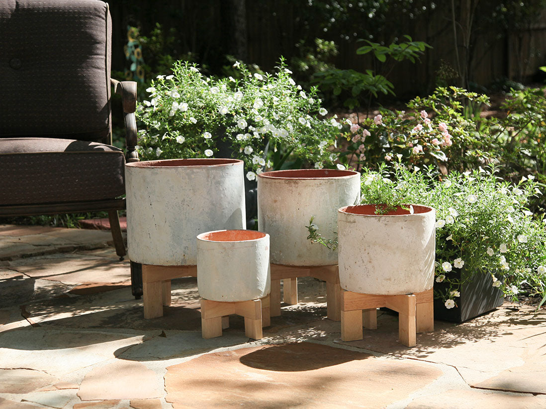 Cylinder Planter- Set of 4 By Plantatorem