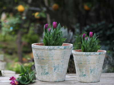 English Tumbled Pots Medium By Plantatorem