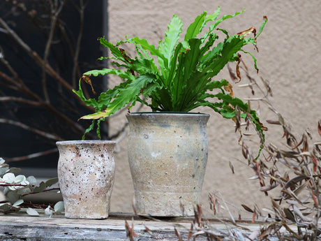 SKYPHOS POT