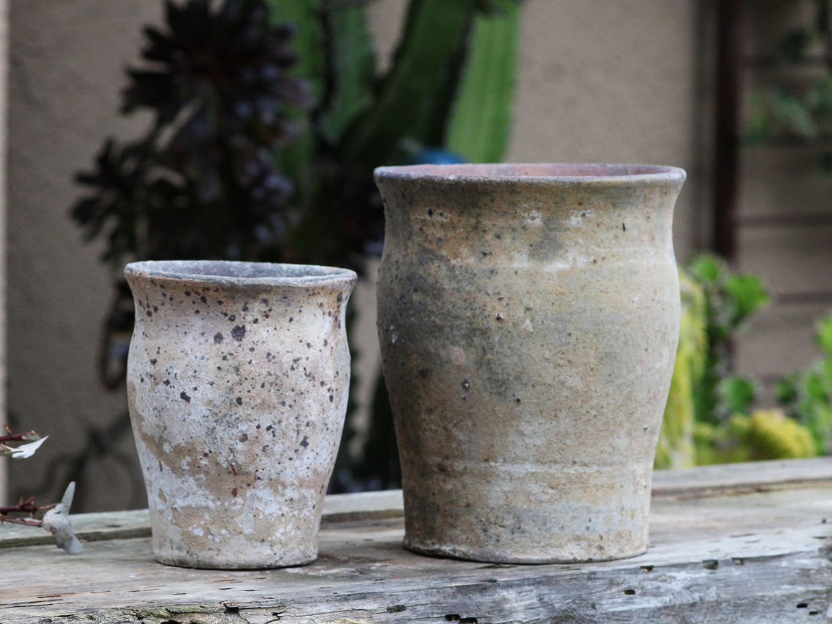 SKYPHOS POT