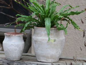 KOTYLE POT