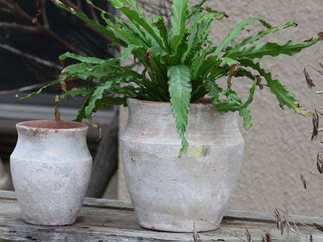 KOTYLE POT