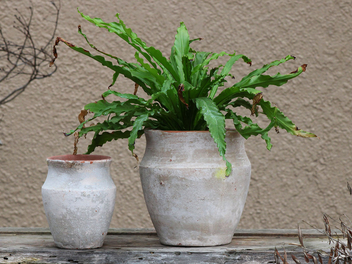 KOTYLE POT