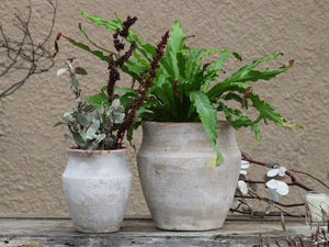 KOTYLE POT