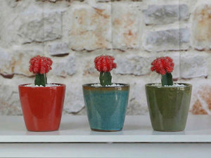 Lilac Succulent Baby Cups , 4.5" X 4.5"